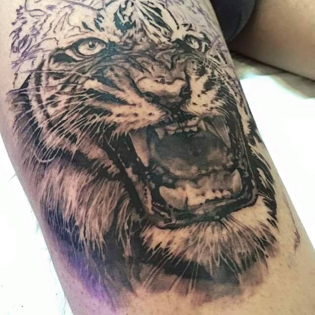 hinh xam cop tren chan nam tinh dep 70% Dung thuc hien 0907775670