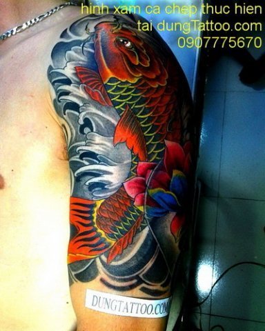 ca chep 3d canh tay dep nhat may man phong thuy