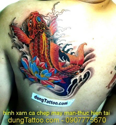 ca chep deo may man xam tren canh tay hoac sau vai